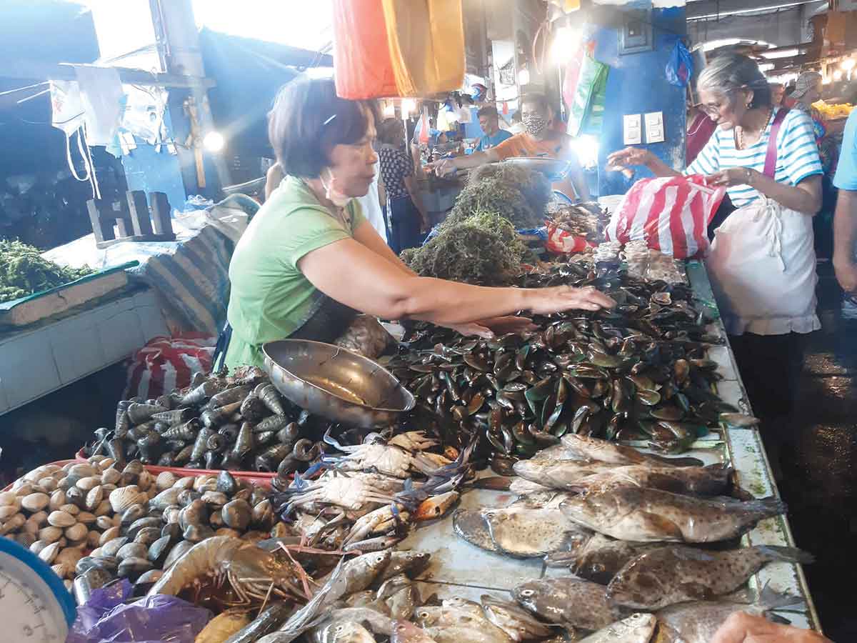 BFAR, Malay LGU stop entry of shellfish from Capiz