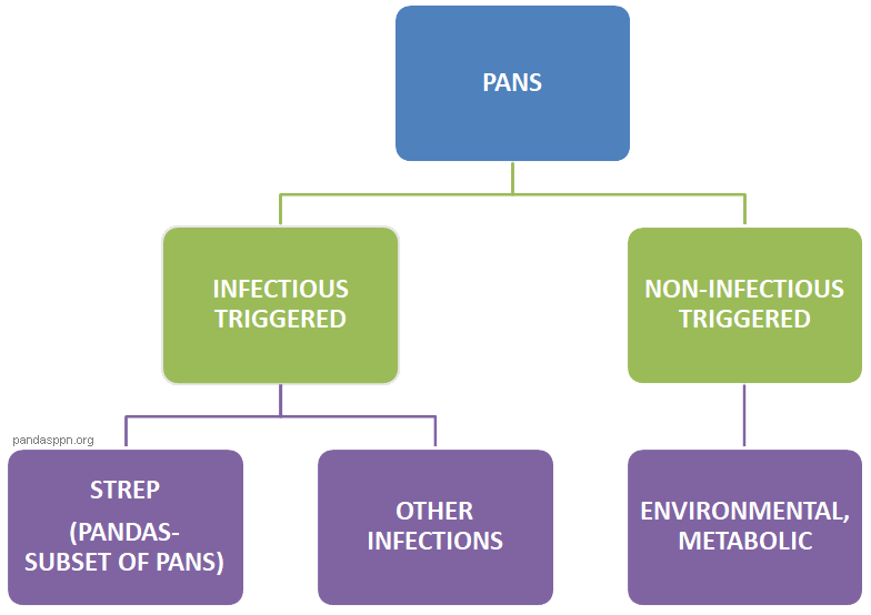 What is PANS/PANDAS? PPN