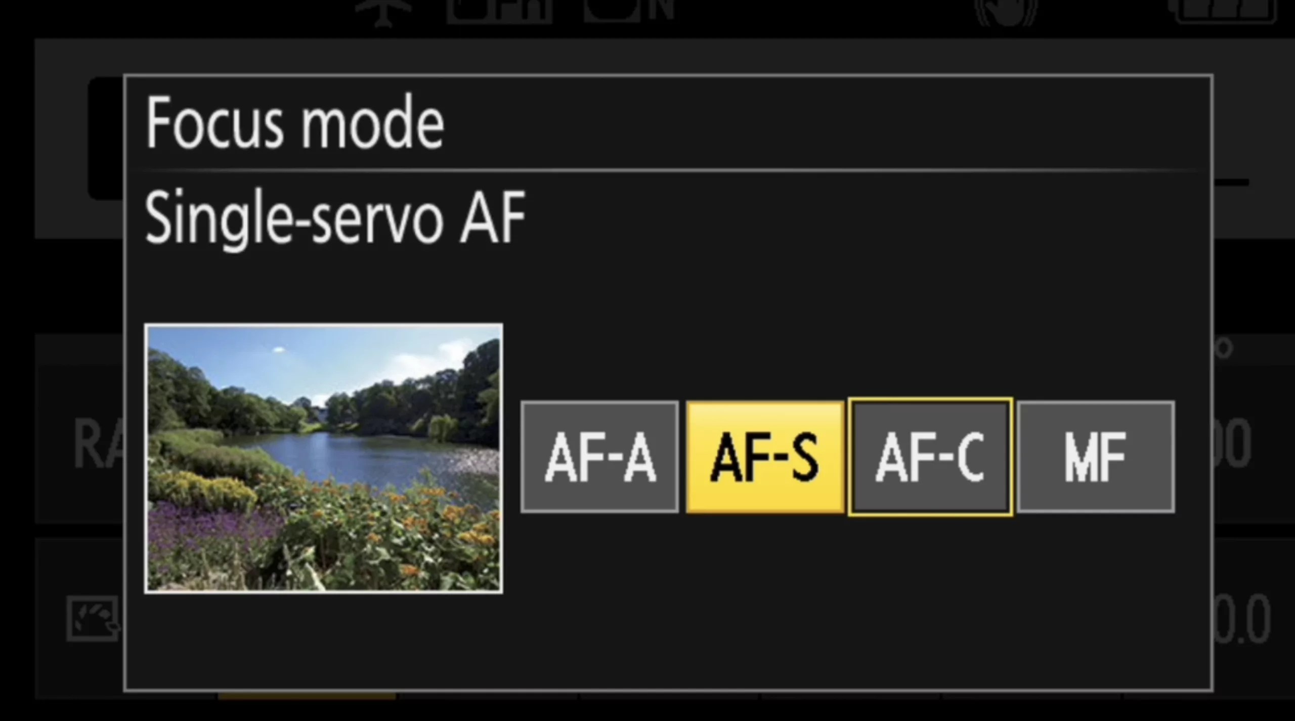 Nikon Autofocus MODES and SETTINGS for wildlife photographers