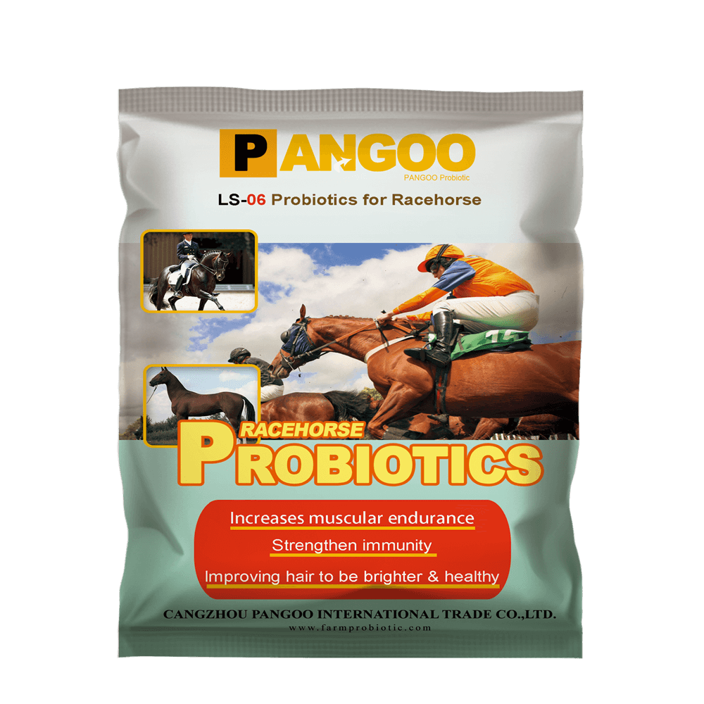 Probiotics for Horses Good Quality Reasonable Price PANGOO