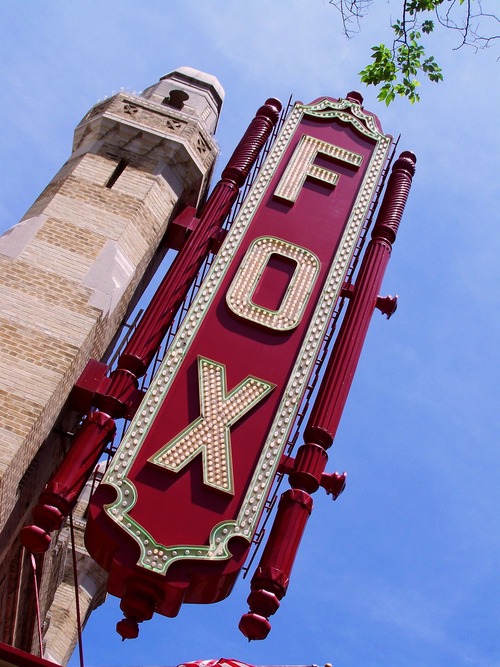 widespread panic dog collar