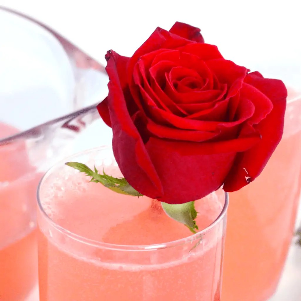 Sparkling Rose Lemonade + DIY Rose Water Pankobunny