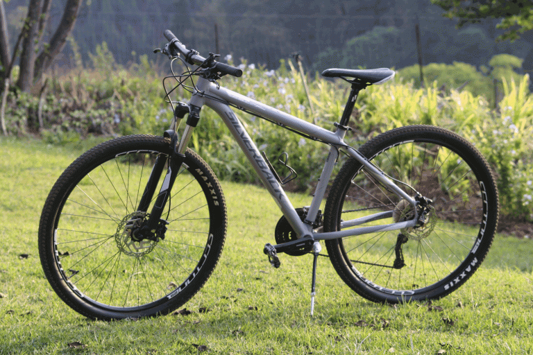 Panorama Pedals Silverback Rental Bikes South Africa Safari cycling