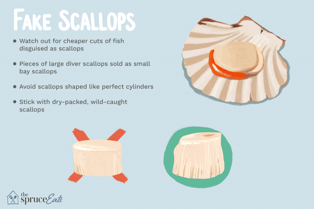 Latest News Pan Seared Scallops