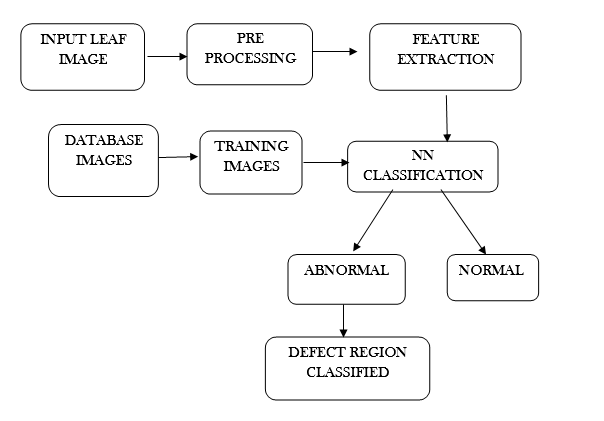 leaf disease detection using image processing