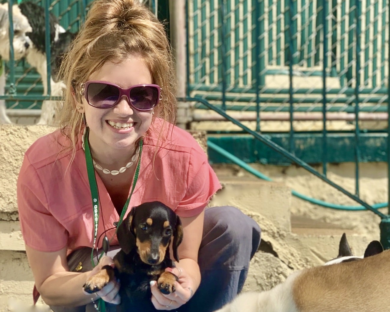 14 Awesome Benefits of Doggy Daycare! Paoli Vetcare