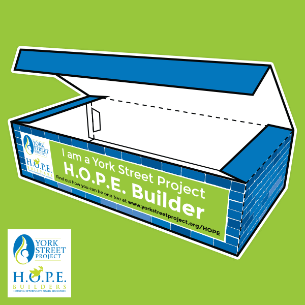 York Street Project Paper Foldables