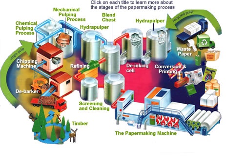 How Paper Is made?