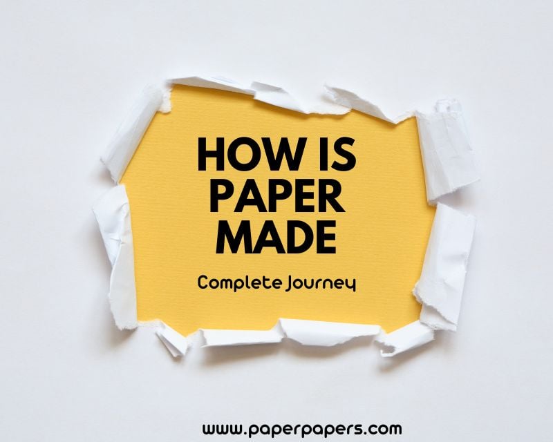 How is Paper Made in 2023 Raw Material to Final Product