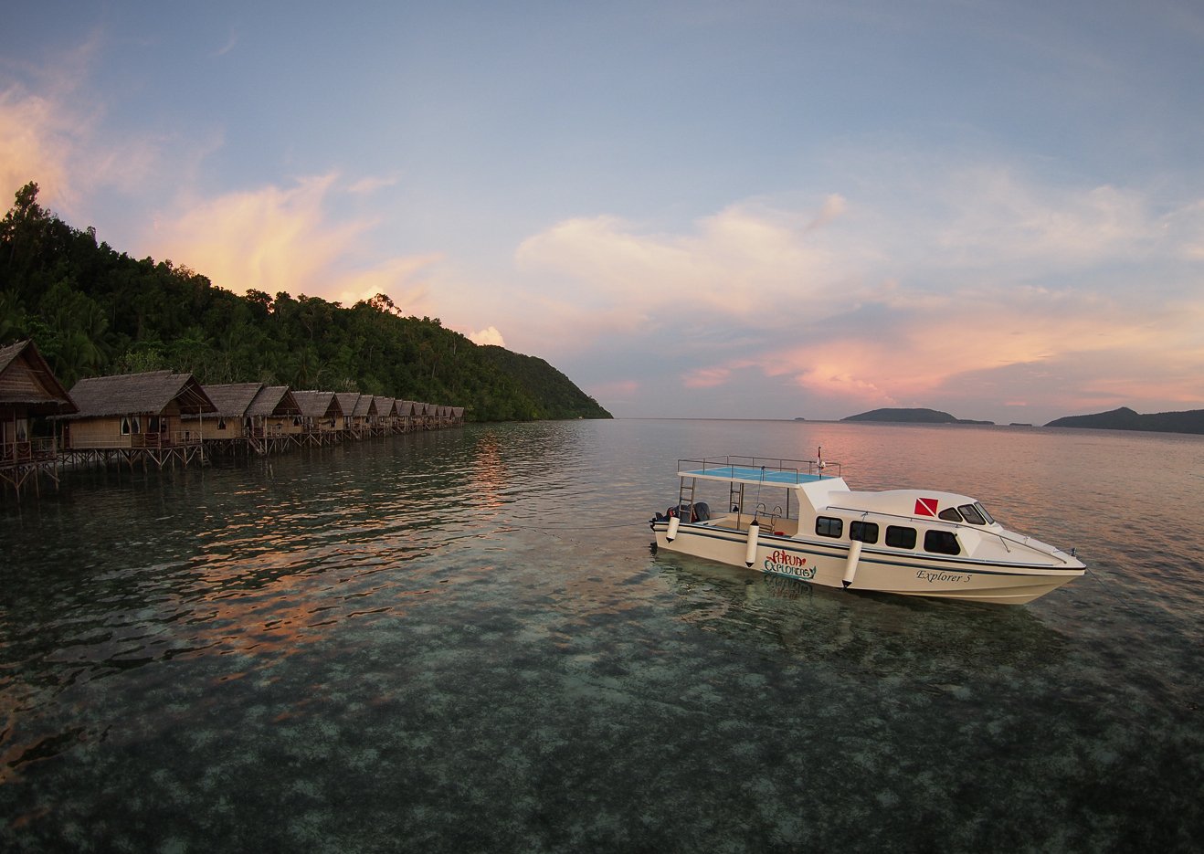 Raja Ampat Diving Photo Gallery Papua Explorers Photos