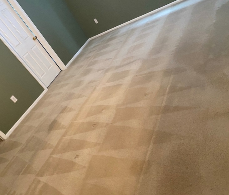 Floor Upholstery Cleaning Services South Jersey