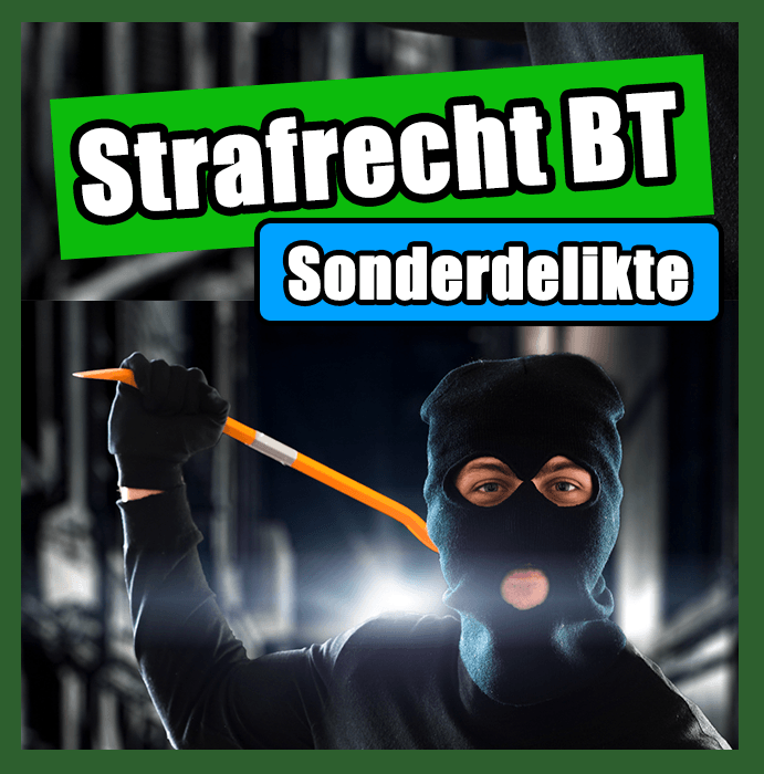Strafrecht Paragraph31
