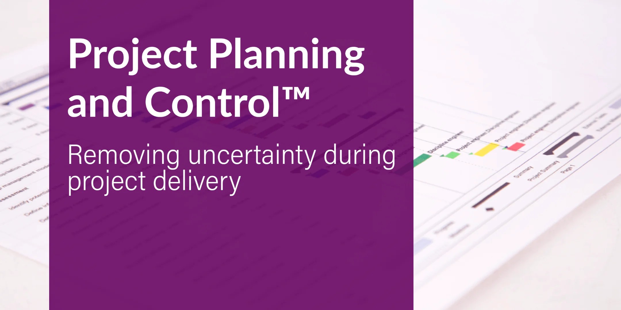 Project Planning and Control Parallel Project Training