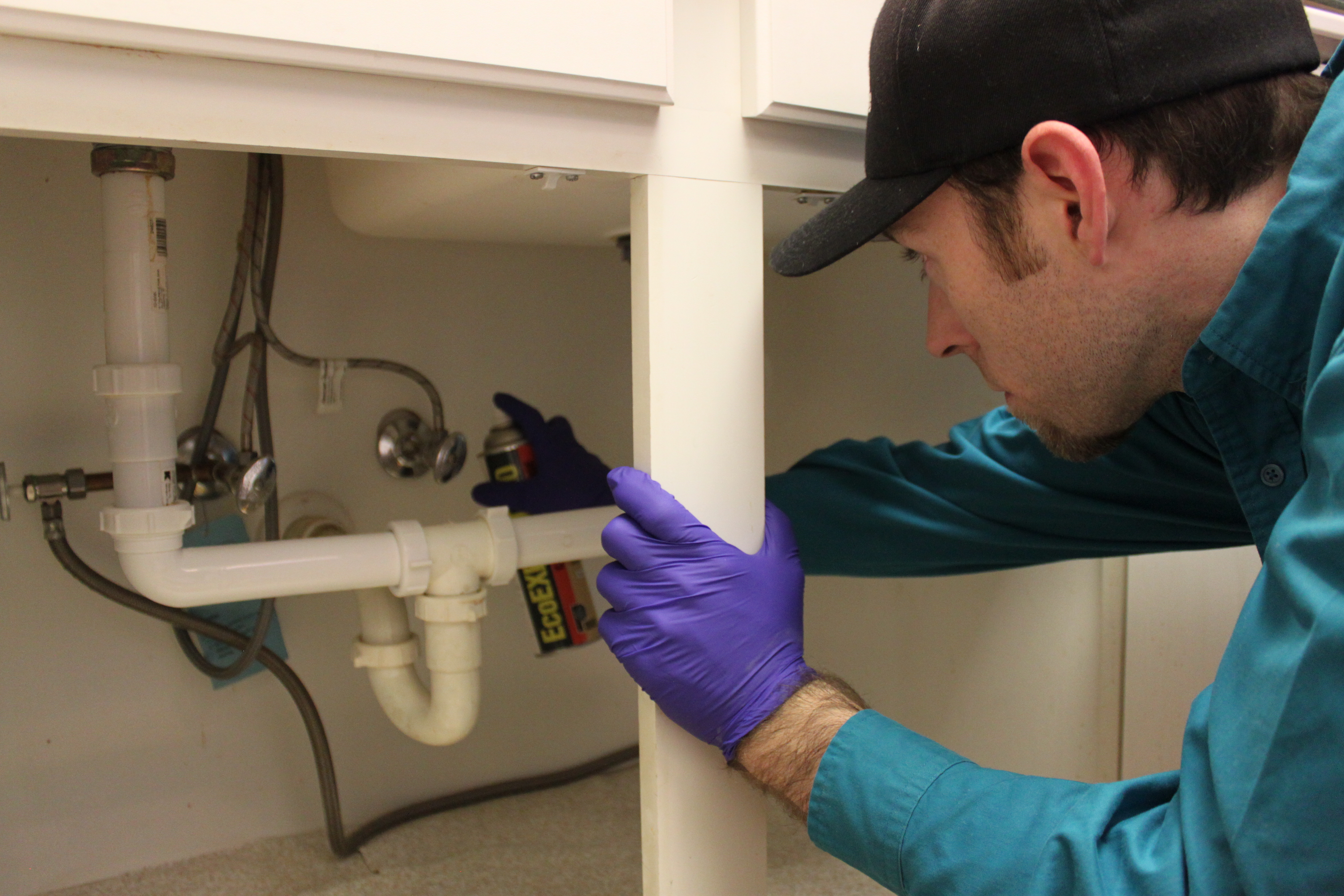 Cockroach Treatment Roach cockroach Insect