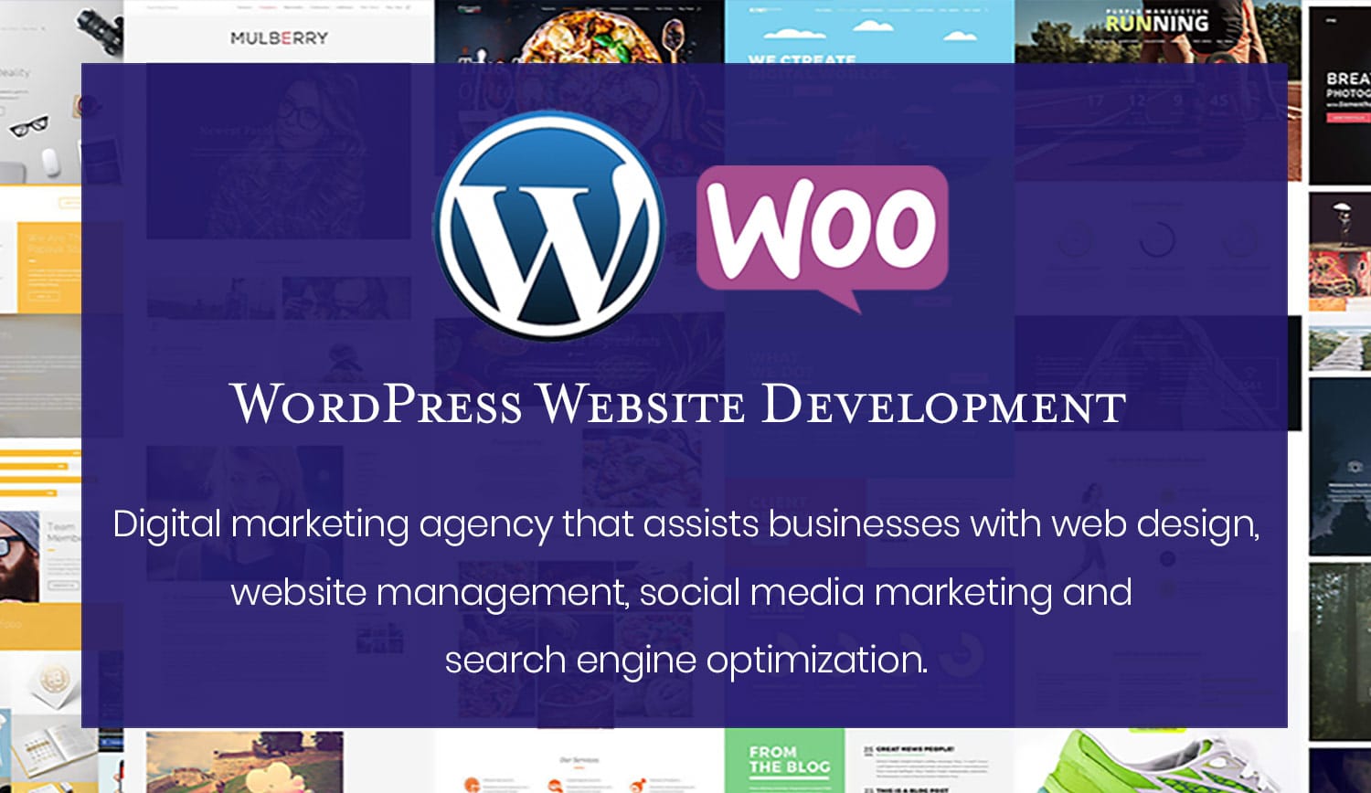 All Plans & Packages Paramount WP Top Rated WordPress