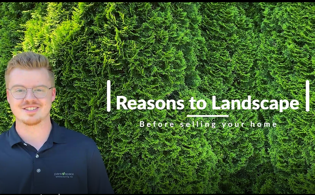 How Much Does Landscaping Affect Appraisal at Gordon Isom blog