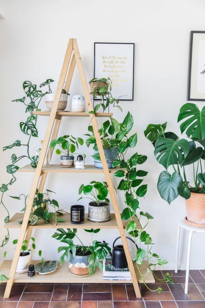 Ideas fáciles y efectivas para decorar con plantas de