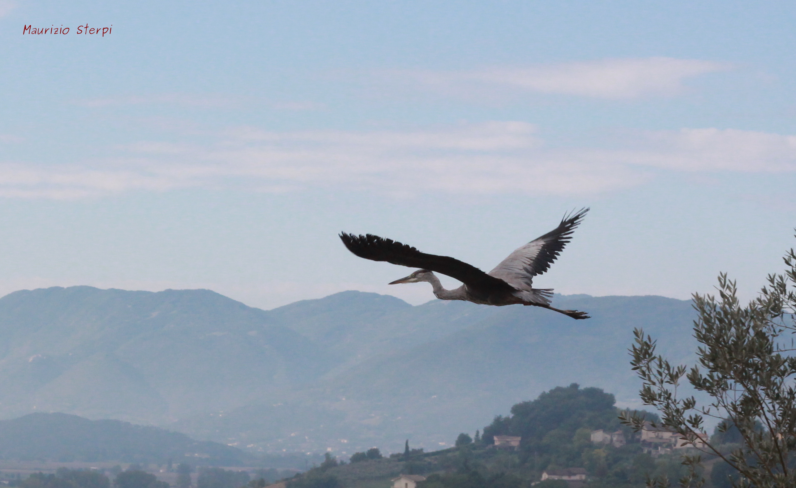 La Riserva Naturale Dei Laghi Lungo E Ripasottile Risorsa Per La Formazione Universitaria 1578_x_2574_jpg