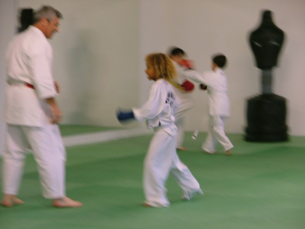France Martial Arts for children and adults in Limoux, Aude, karate in
