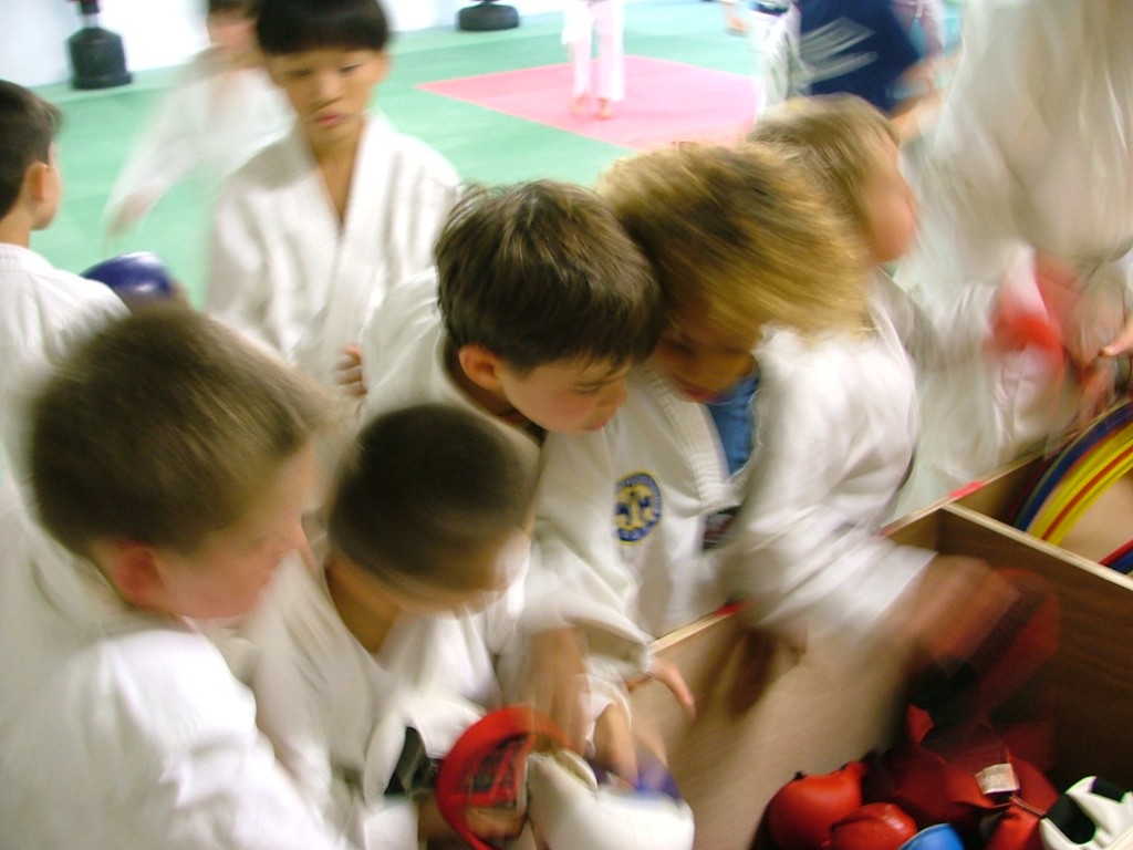 France Martial Arts for children and adults in Limoux, Aude, karate in