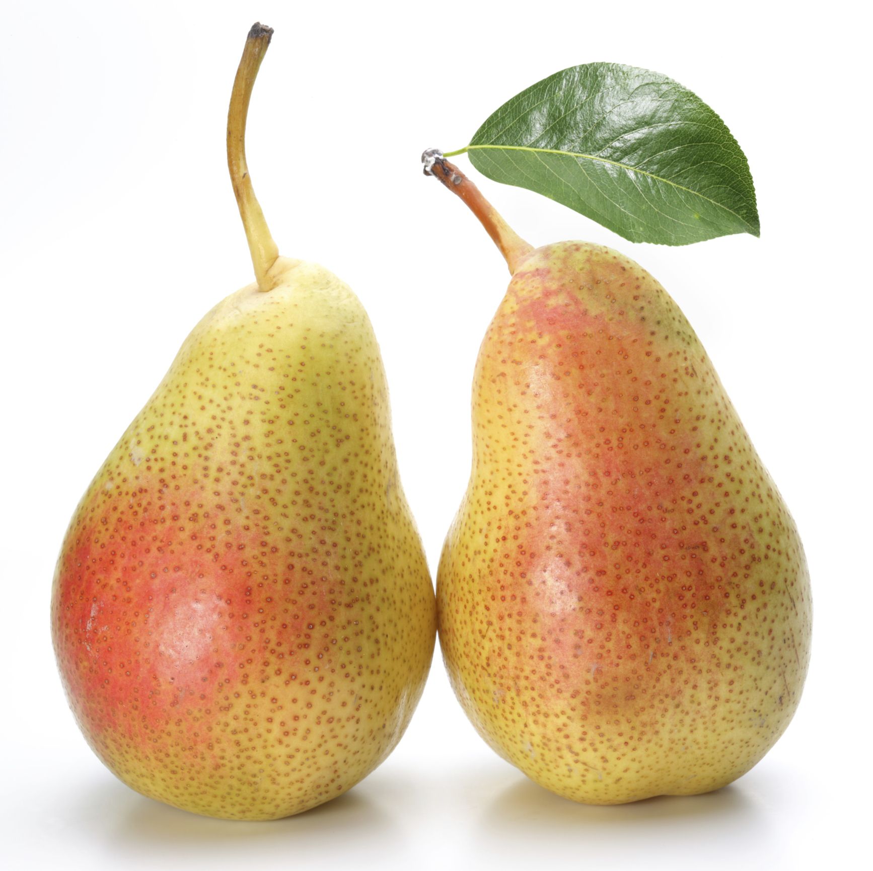 Pears with a leaf Parenthub