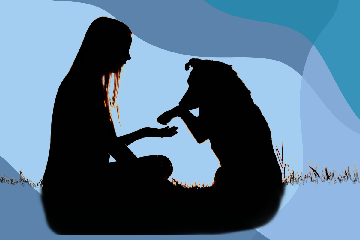 20 Classical Conditioning Examples in Everyday Life Explained