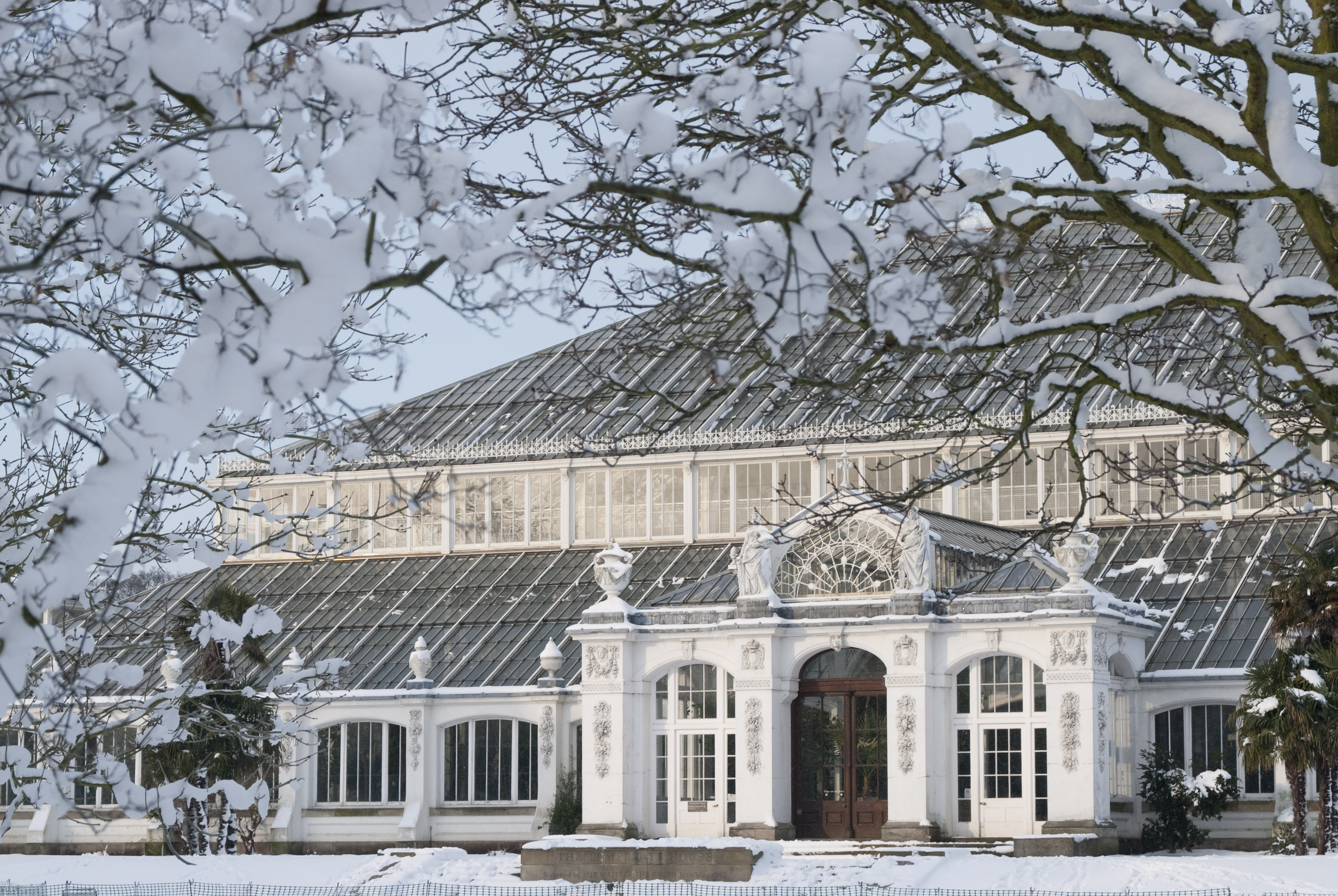 Free entry to Kew Gardens during festive season
