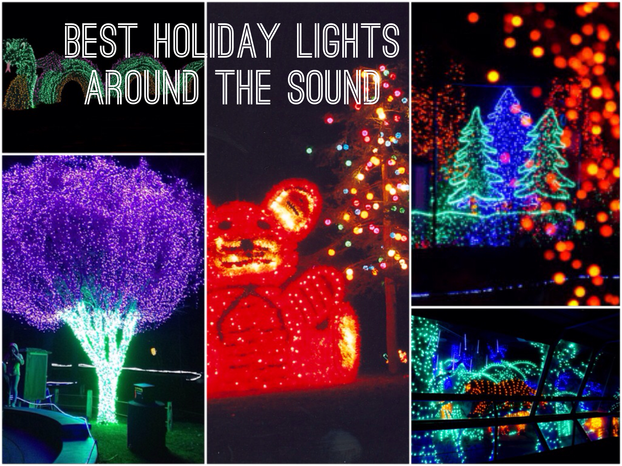 Best Christmas and Holiday Light Displays Around Seattle, and