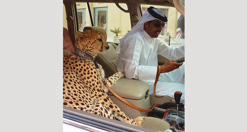 The Lifestyle Of These Filthy Rich Arab Royals Will Leave You Speechless!
