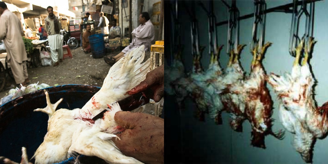 Science Backs Islam's Logic Of Eating Halal Meat Instead Of Haram