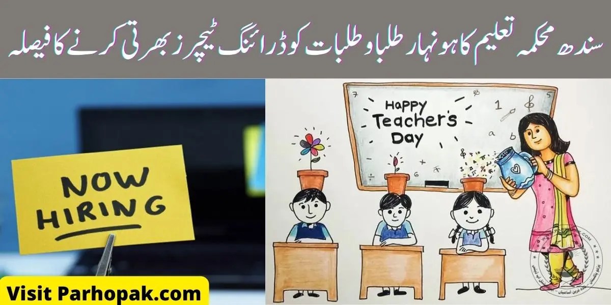 Sindh Government's Decision to Recruit Talented Drawing Students as a