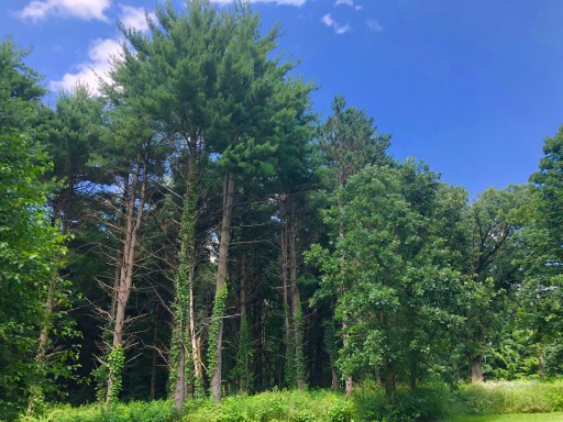Seward Bluffs Forest Preserve Pecatonica, Illinois US ParkAdvisor