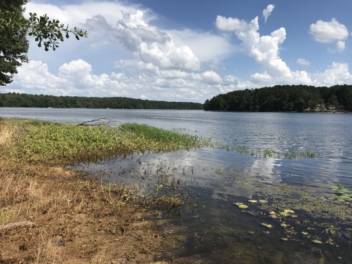 Maynor Creek Water Park Waynesboro, Mississippi US ParkAdvisor