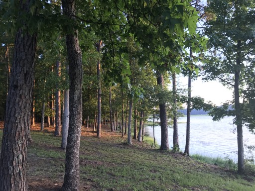 Maynor Creek Water Park Waynesboro, Mississippi US ParkAdvisor