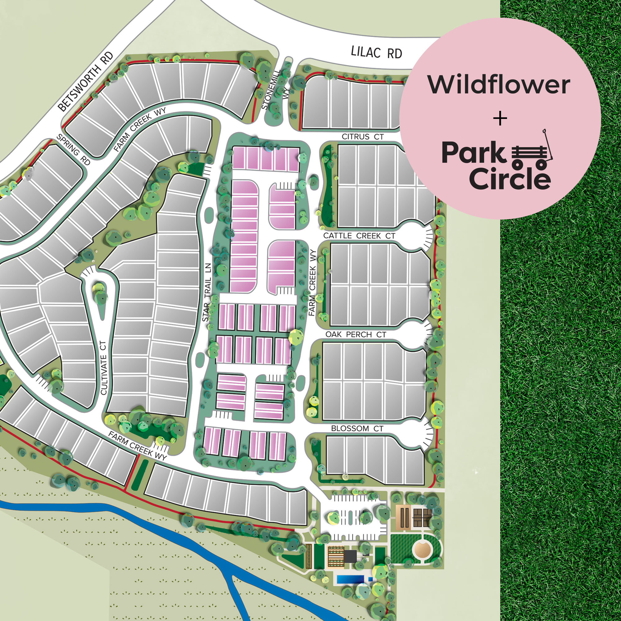 New homes are in bloom at the Wildflower neighborhood in Park Circle