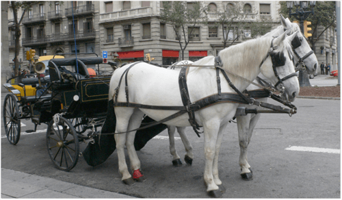Horses, Cars & Efficient Car Parking
