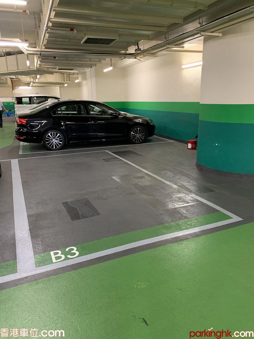 Tseung Kwan O carpark, Tung Chun Street carpark, The Wings II carpark