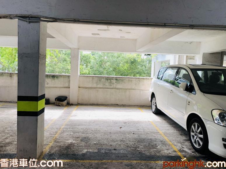 Tai Wai carpark, Chui Tin Street carpark, Golden Lion Garden Phase 1