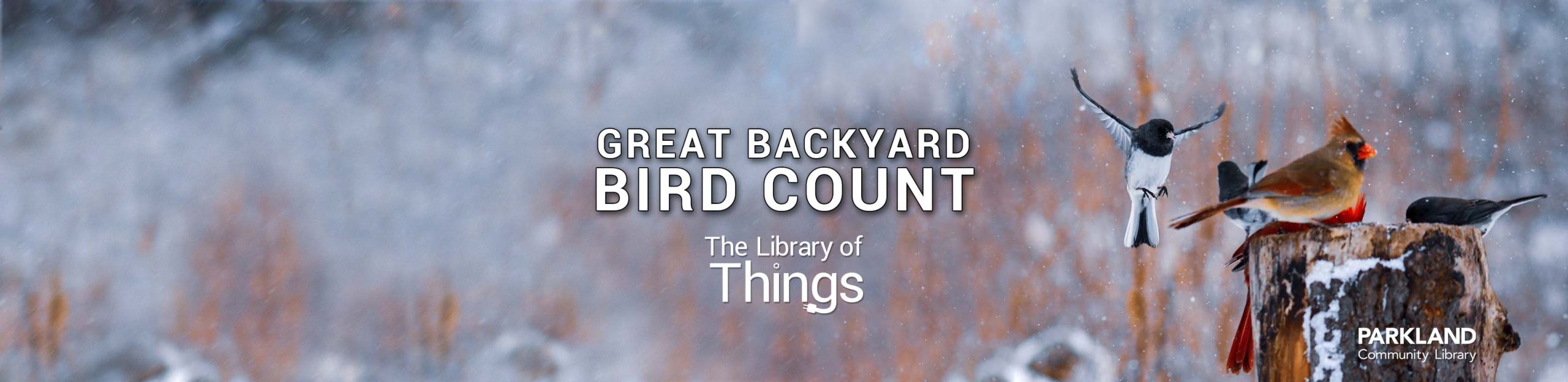 Get Outside with the Great Backyard Bird Count Parkland Library