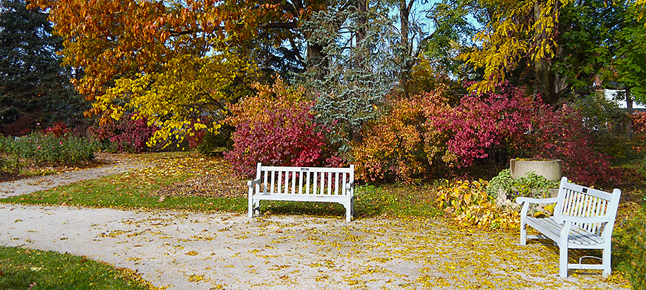 home Columbus Park of Roses