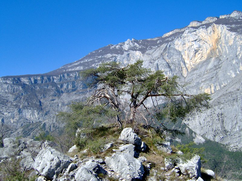 Riserva Naturale Marocche di Dro Galleria fotografica Marocche di Dro