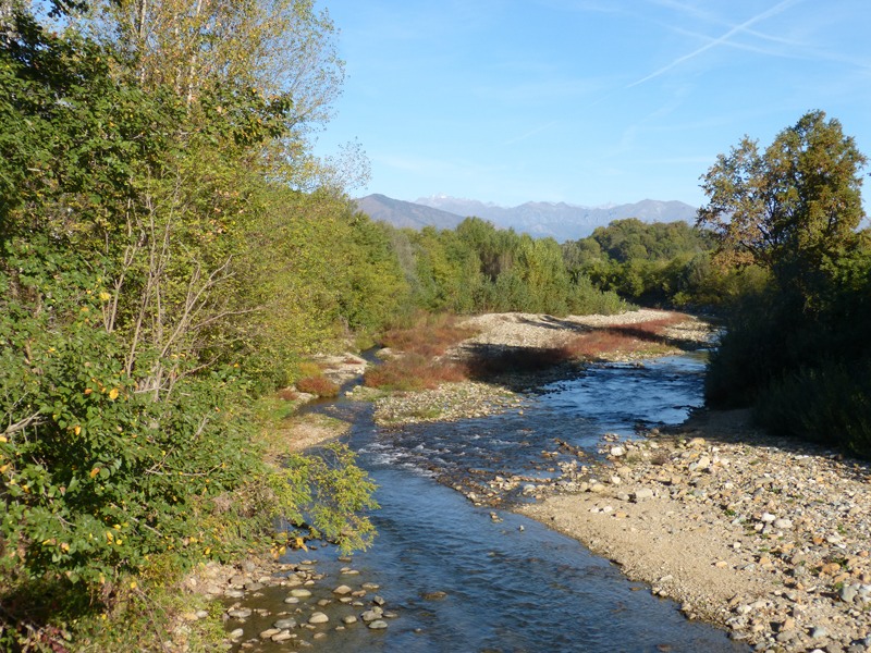 Torrente Ceronda Parco Naturale La Mandria Parchi Reali