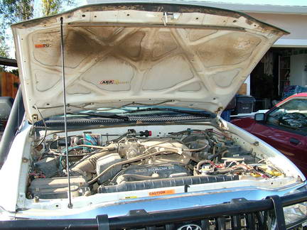 Red Line Tuning Hood Struts