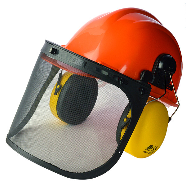 Parkson Safety Industrial Corp. Helmet with earmuff and face shield