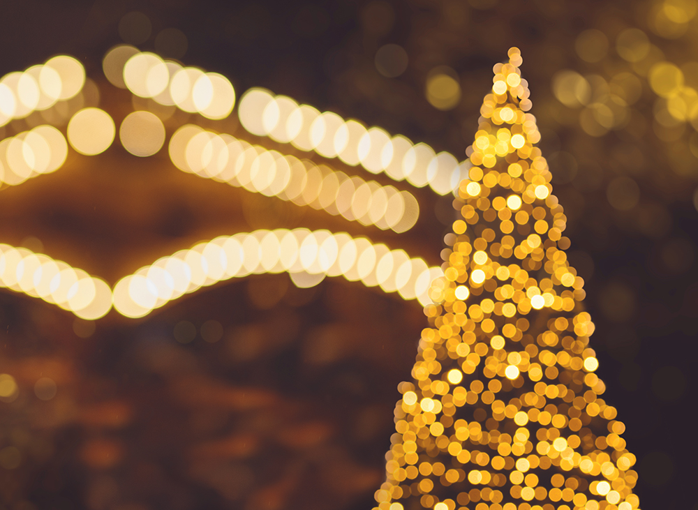 Parkway 25 Minneapolis Holiday Lights