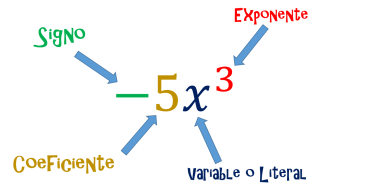 Partes de la expresión algebraica