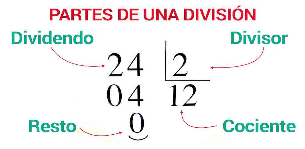 Partes de la división