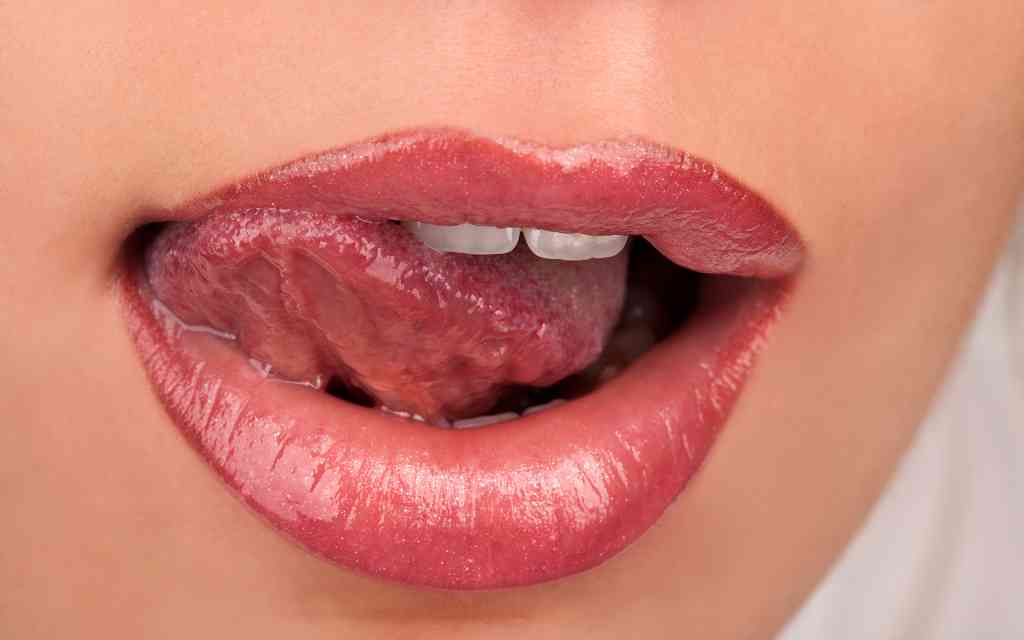 Partes de la lengua