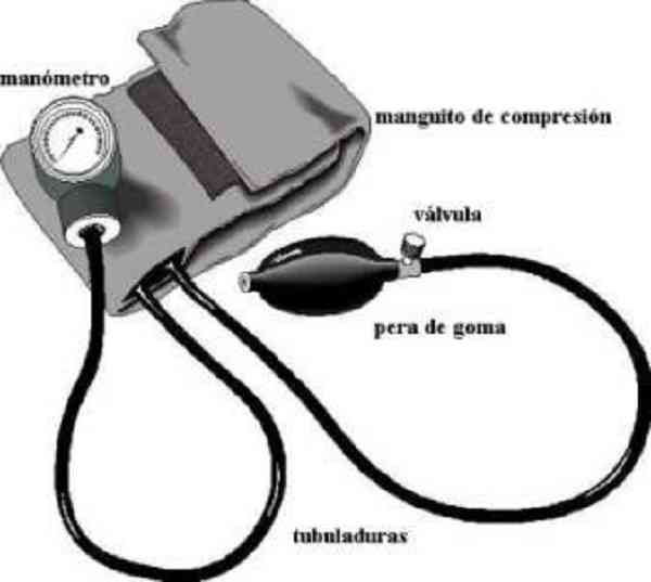 Partes del baumanómetro