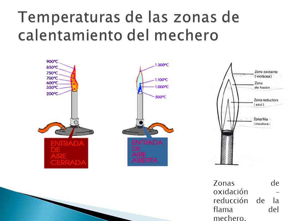 Partes de la llama
